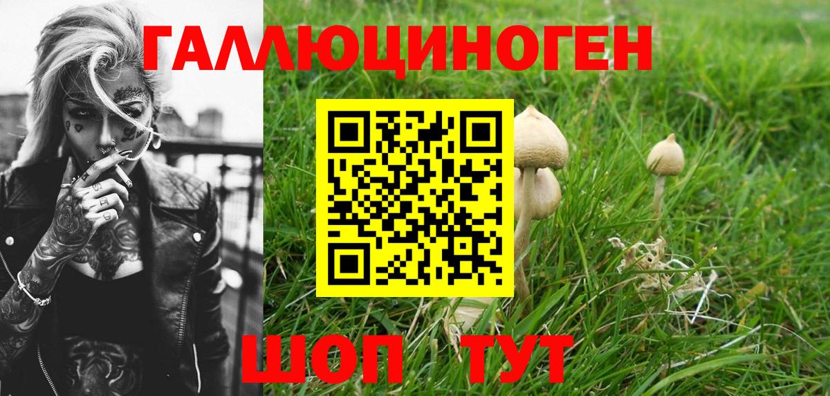 Туапсе  Галлюциногенные грибы GOLDEN TEACHER  Вход с VPN 
